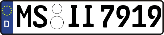 MS-II7919