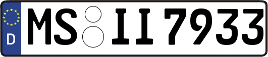 MS-II7933