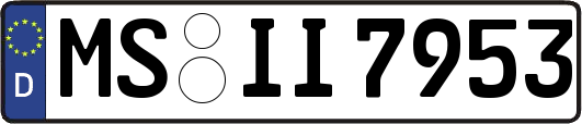 MS-II7953