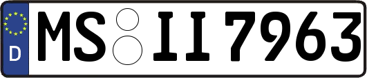 MS-II7963