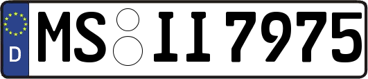 MS-II7975