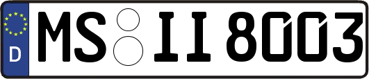 MS-II8003