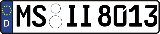 MS-II8013