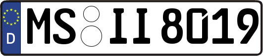 MS-II8019