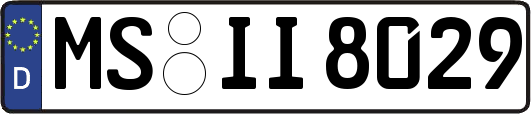 MS-II8029