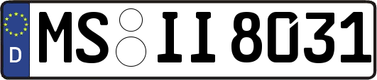 MS-II8031