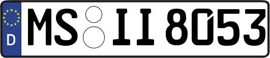 MS-II8053