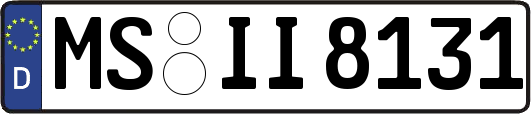 MS-II8131