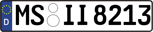 MS-II8213