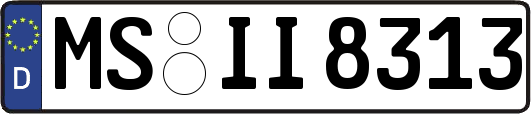 MS-II8313