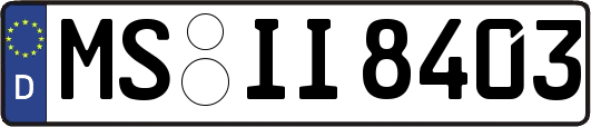 MS-II8403