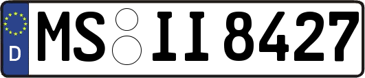 MS-II8427