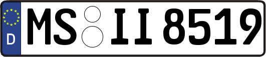 MS-II8519