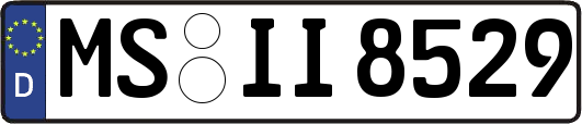 MS-II8529