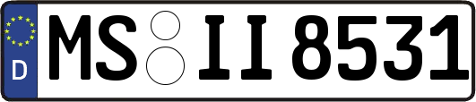 MS-II8531
