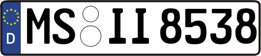 MS-II8538