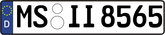 MS-II8565