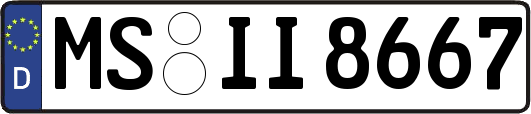 MS-II8667