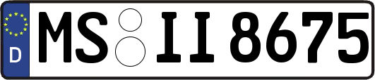 MS-II8675