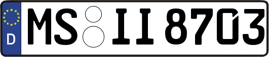 MS-II8703