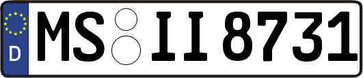 MS-II8731