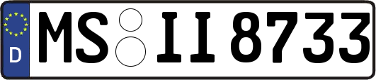 MS-II8733