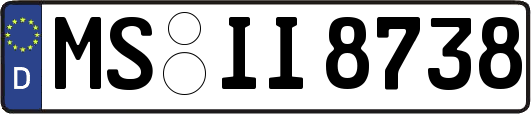 MS-II8738