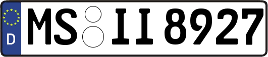 MS-II8927
