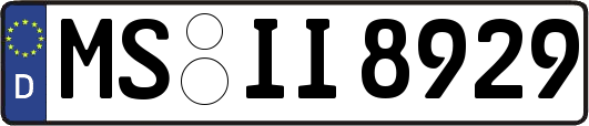 MS-II8929