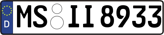 MS-II8933