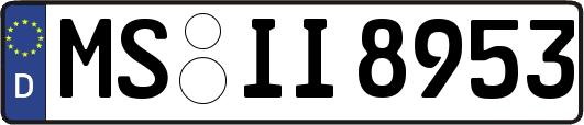 MS-II8953