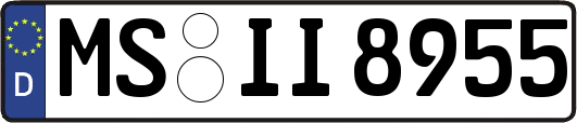 MS-II8955