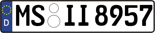 MS-II8957