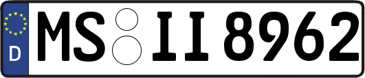 MS-II8962