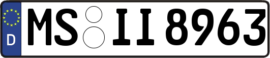 MS-II8963