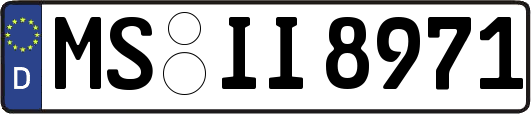 MS-II8971