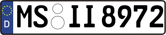 MS-II8972
