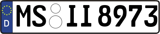 MS-II8973