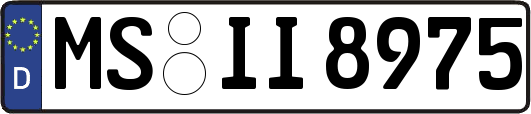 MS-II8975