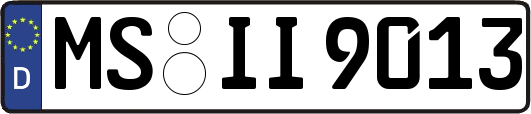 MS-II9013