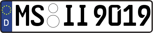 MS-II9019
