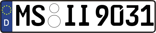 MS-II9031