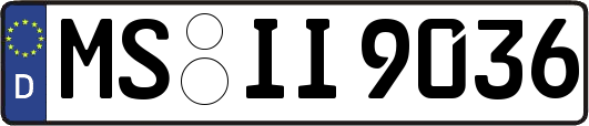 MS-II9036