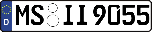 MS-II9055
