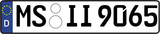 MS-II9065
