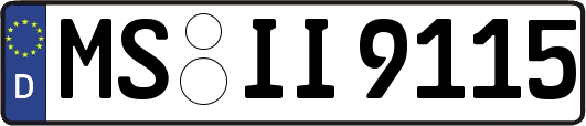 MS-II9115
