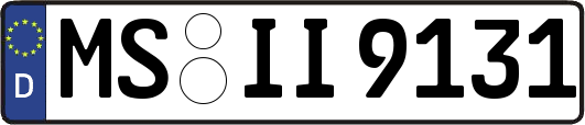 MS-II9131