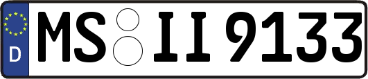 MS-II9133