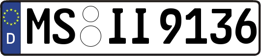 MS-II9136