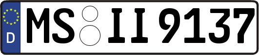 MS-II9137